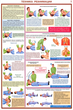ПС02 Первая реанимационная и первая медицинская помощь (ламинированная бумага, a2, 6 листов)